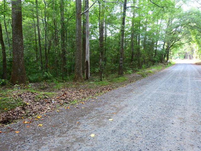 0 Branch Road, Moncks Corner, SC 29461