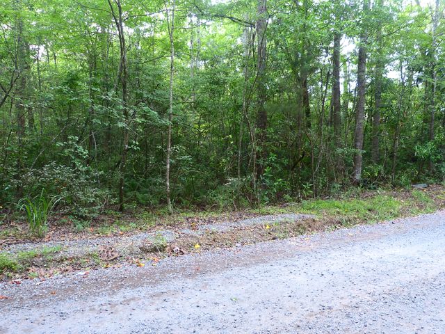 0 Branch Road, Moncks Corner, SC 29461