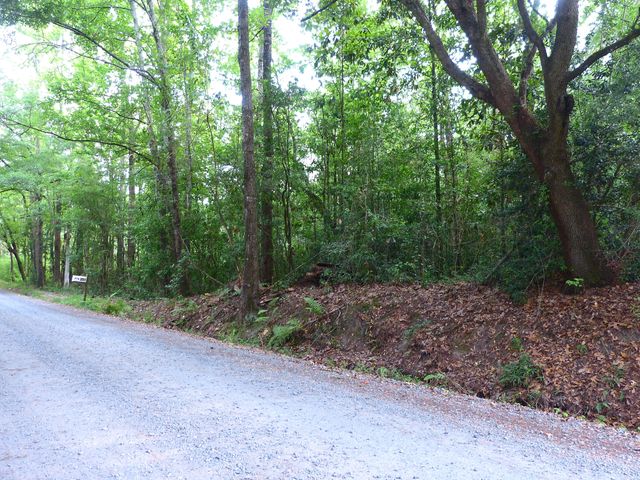 0 Branch Road, Moncks Corner, SC 29461