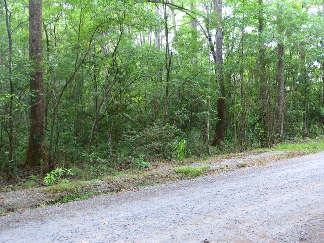0 Branch Road, Moncks Corner, SC 29461