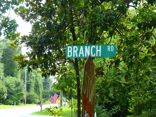 0 Branch Road, Moncks Corner, SC 29461