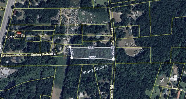0 Branch Road, Moncks Corner, SC 29461