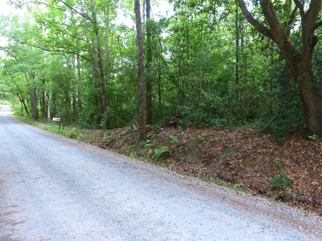 0 Branch Road, Moncks Corner, SC 29461