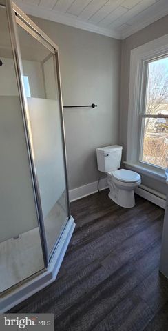 325 N COLLEGE ST, Palmyra, PA 17078