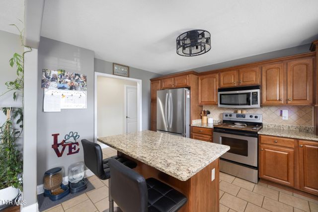 245 Willow Ridge Drive, Chuckey, TN 37641