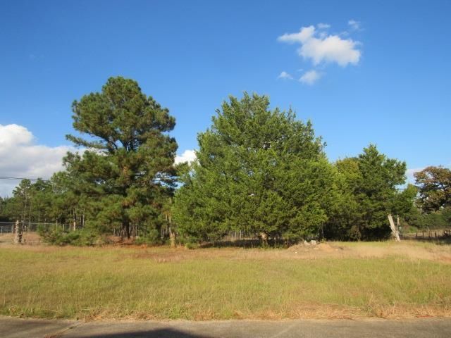 551 N CR 223, Henderson, TX 75652