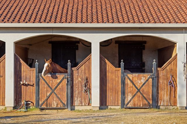 1715 S Joe Wilson Road, Ovilla, TX 75104