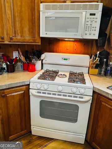 323 Leisure Acres Drive, Cleveland, GA 30528