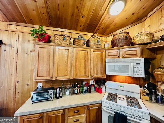 323 Leisure Acres Drive, Cleveland, GA 30528