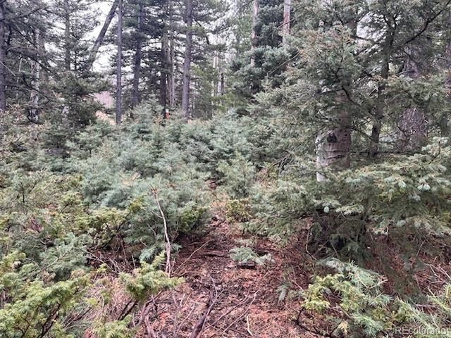 3091 Sterenson Pl, Fort Garland, CO 81133