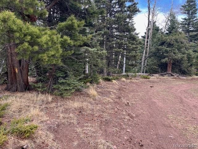 3091 Sterenson Pl, Fort Garland, CO 81133