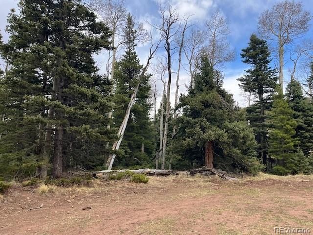 3091 Sterenson Pl, Fort Garland, CO 81133
