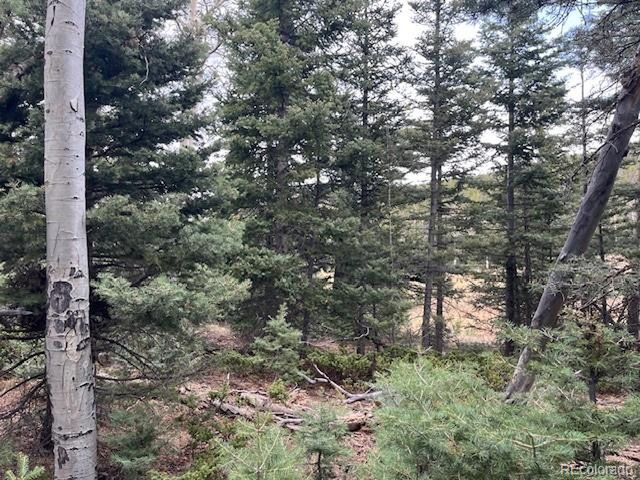 3091 Sterenson Pl, Fort Garland, CO 81133