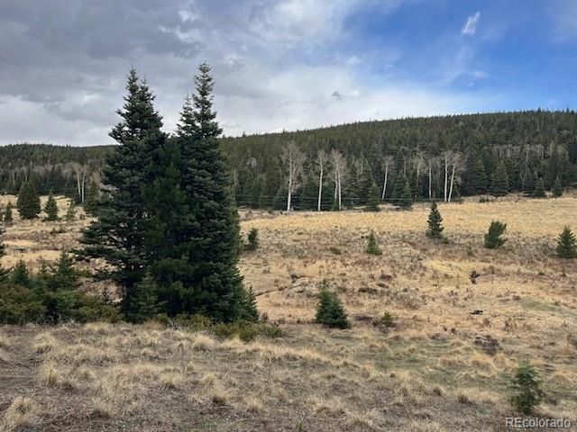 3091 Sterenson Pl, Fort Garland, CO 81133