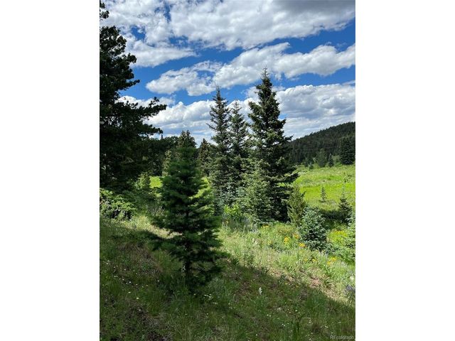 3091 Sterenson Pl, Fort Garland, CO 81133