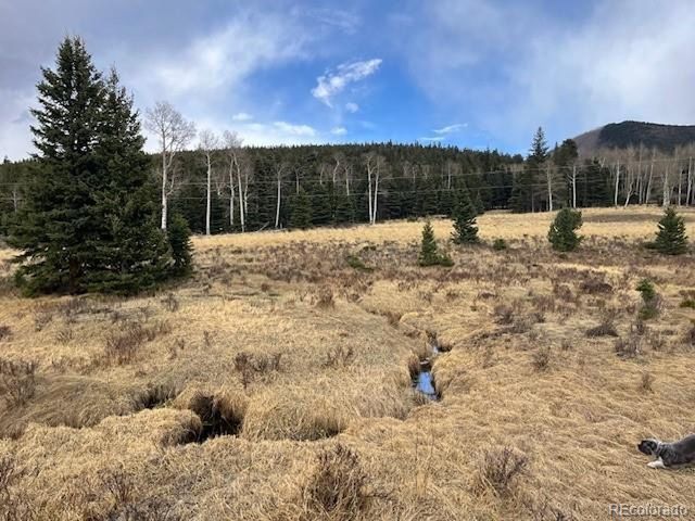 3091 Sterenson Pl, Fort Garland, CO 81133