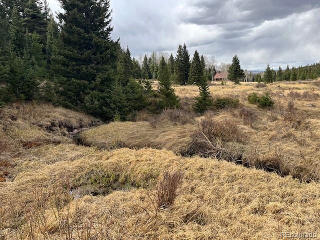 3091 Sterenson Pl, Fort Garland, CO 81133