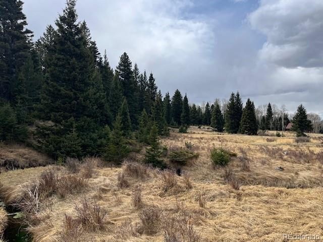 3091 Sterenson Pl, Fort Garland, CO 81133
