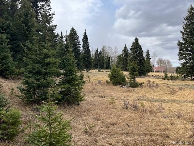 3091 Sterenson Pl, Fort Garland, CO 81133
