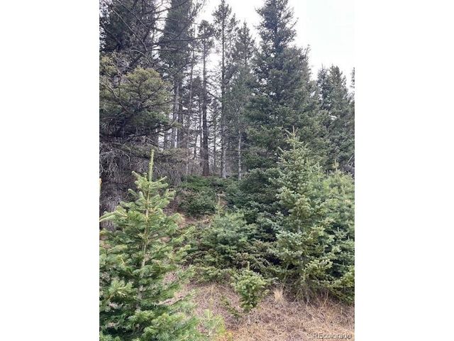 3091 Sterenson Pl, Fort Garland, CO 81133