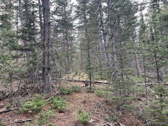 3091 Sterenson Pl, Fort Garland, CO 81133