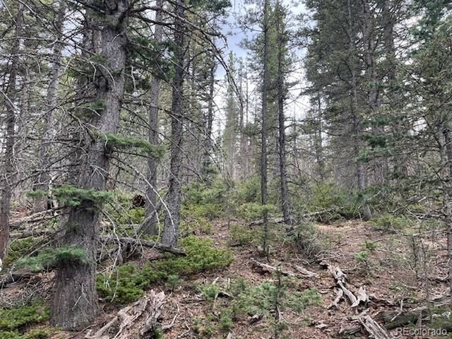 3091 Sterenson Pl, Fort Garland, CO 81133