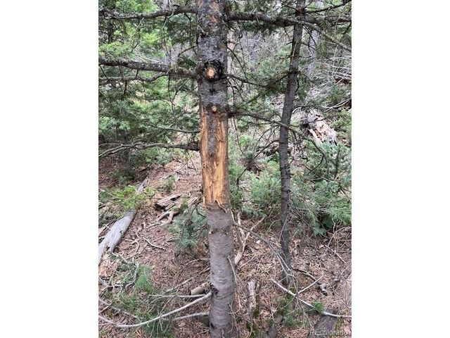 3091 Sterenson Pl, Fort Garland, CO 81133