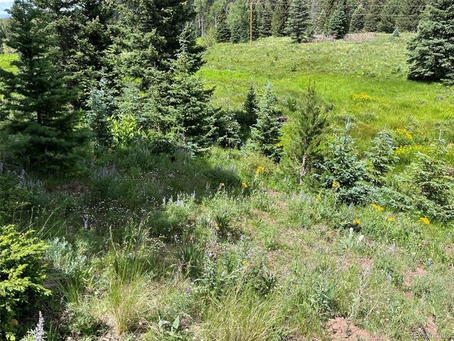 3091 Sterenson Pl, Fort Garland, CO 81133