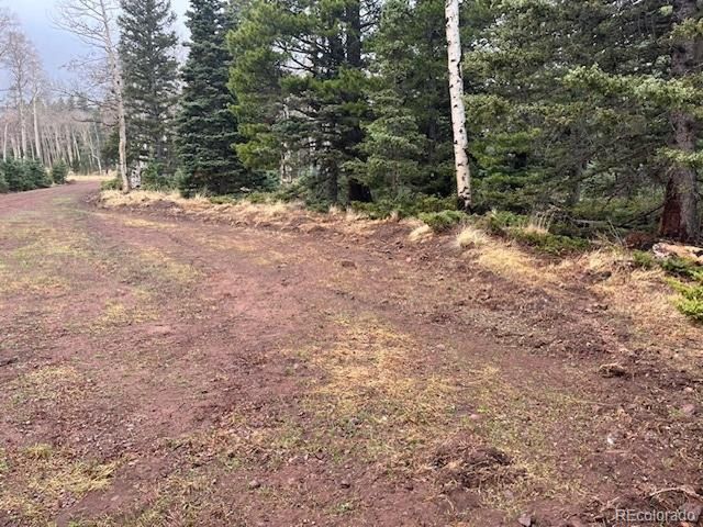 3091 Sterenson Pl, Fort Garland, CO 81133