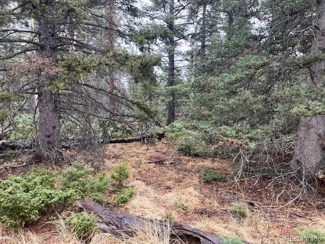 3091 Sterenson Pl, Fort Garland, CO 81133