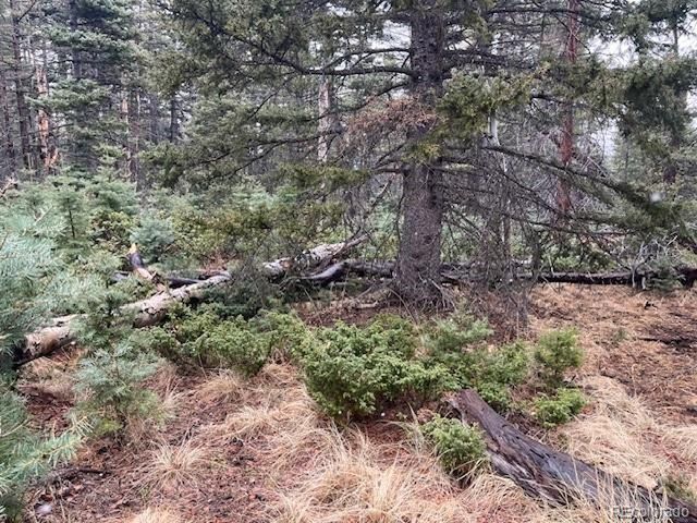 3091 Sterenson Pl, Fort Garland, CO 81133