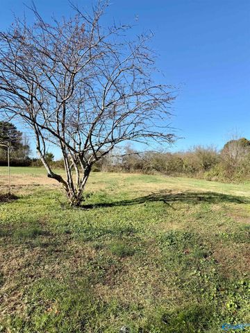 6743 County Road 78, Fort Payne, AL 35967