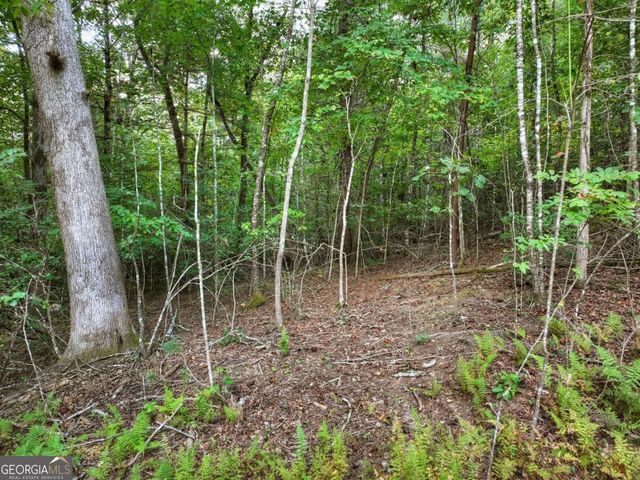 185 Pine Lane 5,6,7, Mineral Bluff, GA 30559