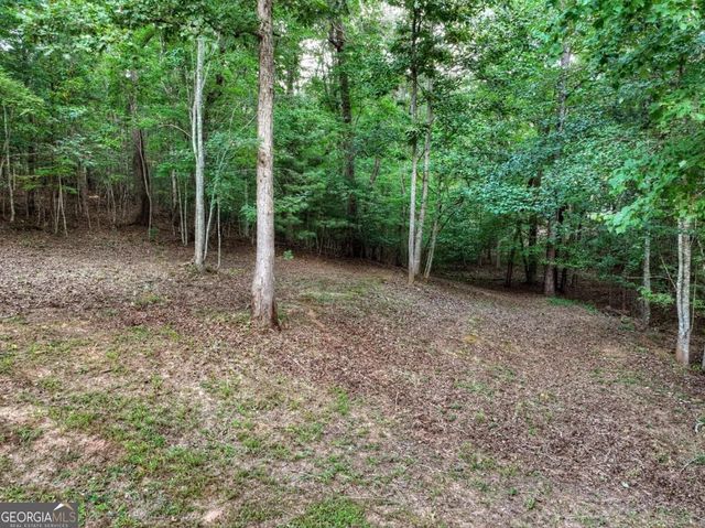 185 Pine Lane 5,6,7, Mineral Bluff, GA 30559
