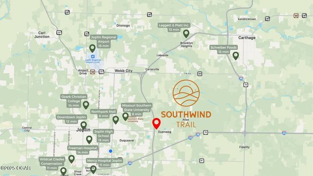 408 Molly Dean Drive, Duenweg, MO 64841