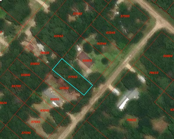 0 Rosemary Lane, Livingston, TX 77351