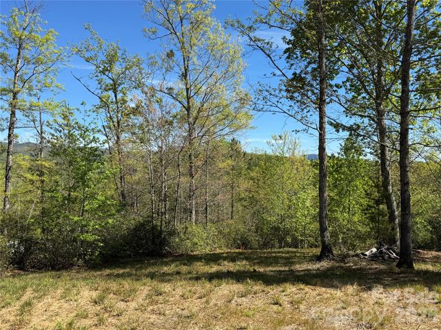 284 Bear Cliff Circle, Nebo, NC 28761