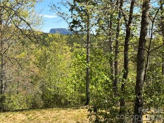 284 Bear Cliff Circle, Nebo, NC 28761