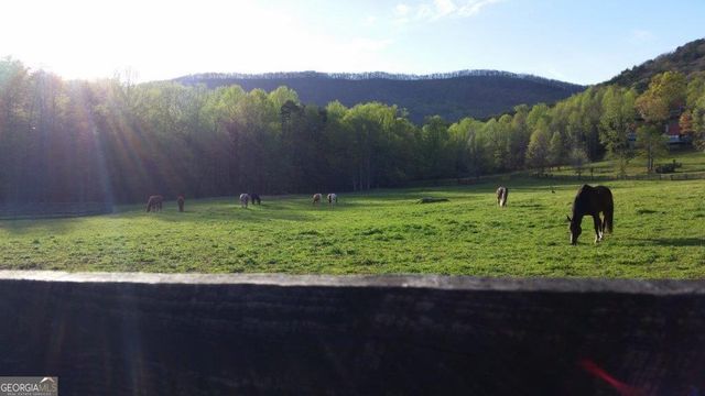 98 Canyon Pass, Cleveland, GA 30528