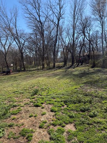 302 W 10th Street, Galena, MO 65656