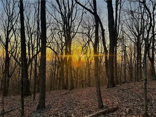 Lot 1 Mount Mincie Road, Murrayville, GA 30564