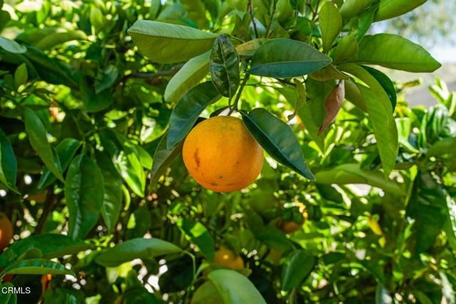 1400 Cameron Street, Ventura, CA 93001