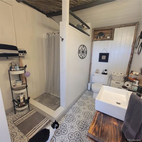 603 Casa Verde Real Drive, San Luis, CO 81152