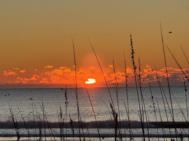 5307 N Ocean Blvd., Myrtle Beach, SC 29577