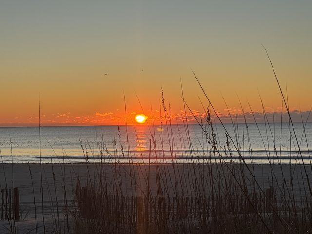 5307 N Ocean Blvd., Myrtle Beach, SC 29577