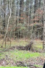 0 107 Highway, Center Point, LA 71323