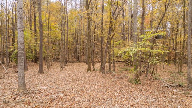 230 ADLEY WAY, Counce, TN 38326