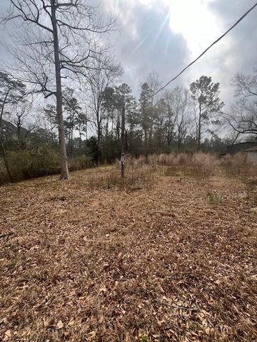 48 Magnolia Road, Woodbranch Village, TX 77357