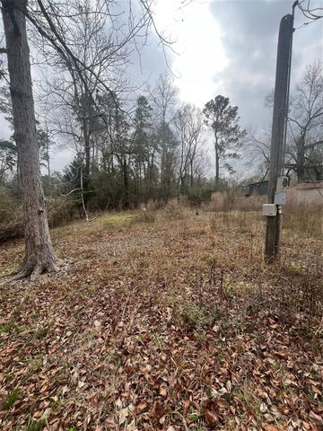 48 Magnolia Road, Woodbranch Village, TX 77357