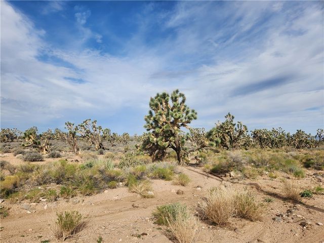 26601 N Bullhead Road, Meadview, AZ 86444